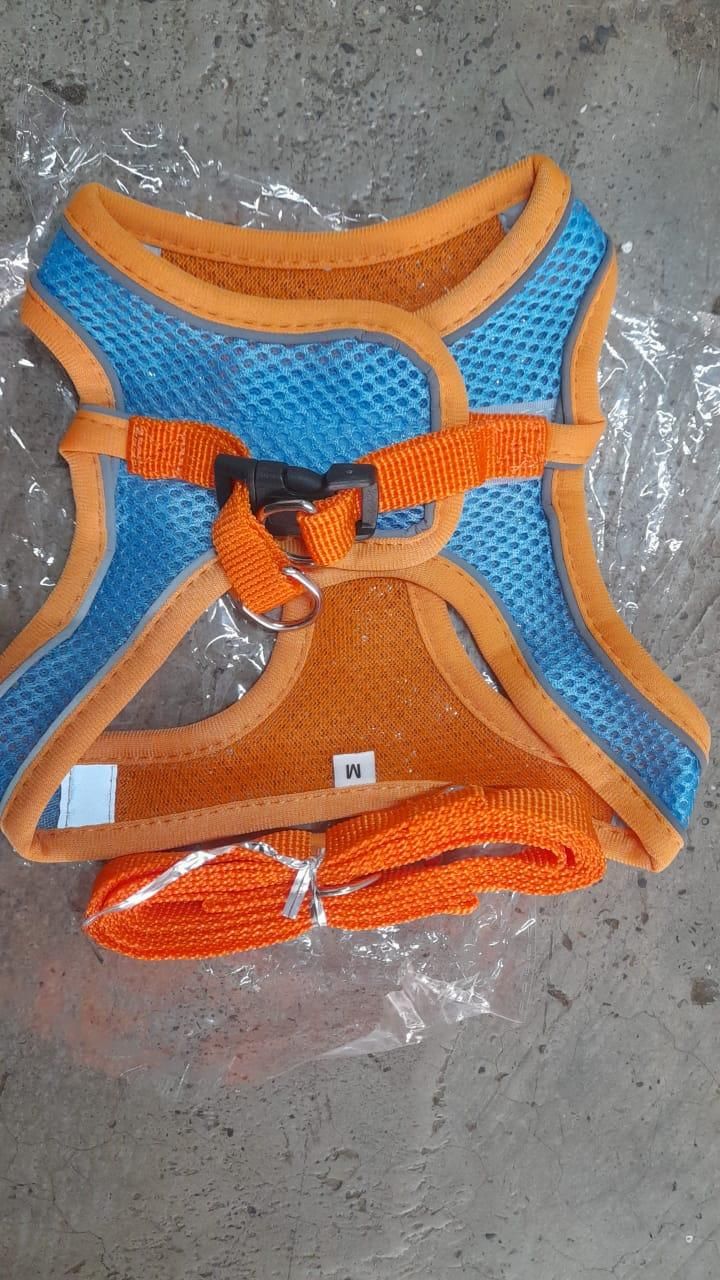 indoor cat exercise harness supports motor movement reduces laziness encourages daily walking Baby and Fur