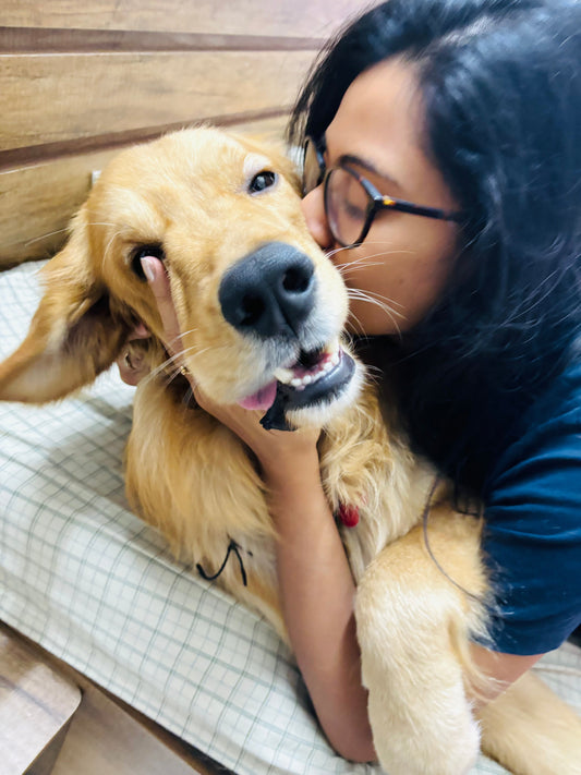The Morning Samrat Stopped Waiting for His Belly Rub,and What That Taught Me About Him