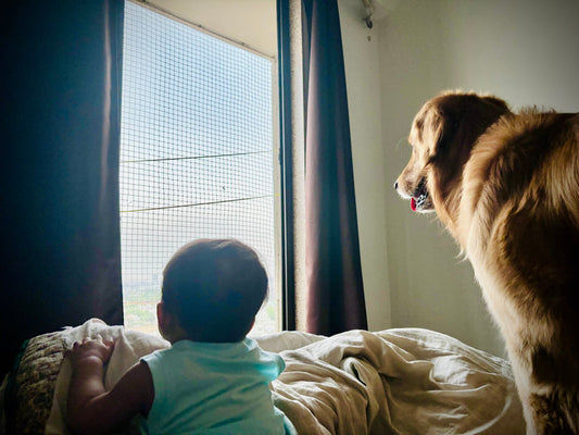 A Day in Our House: Dvait, Samrat, and the Beautiful Mess In Between