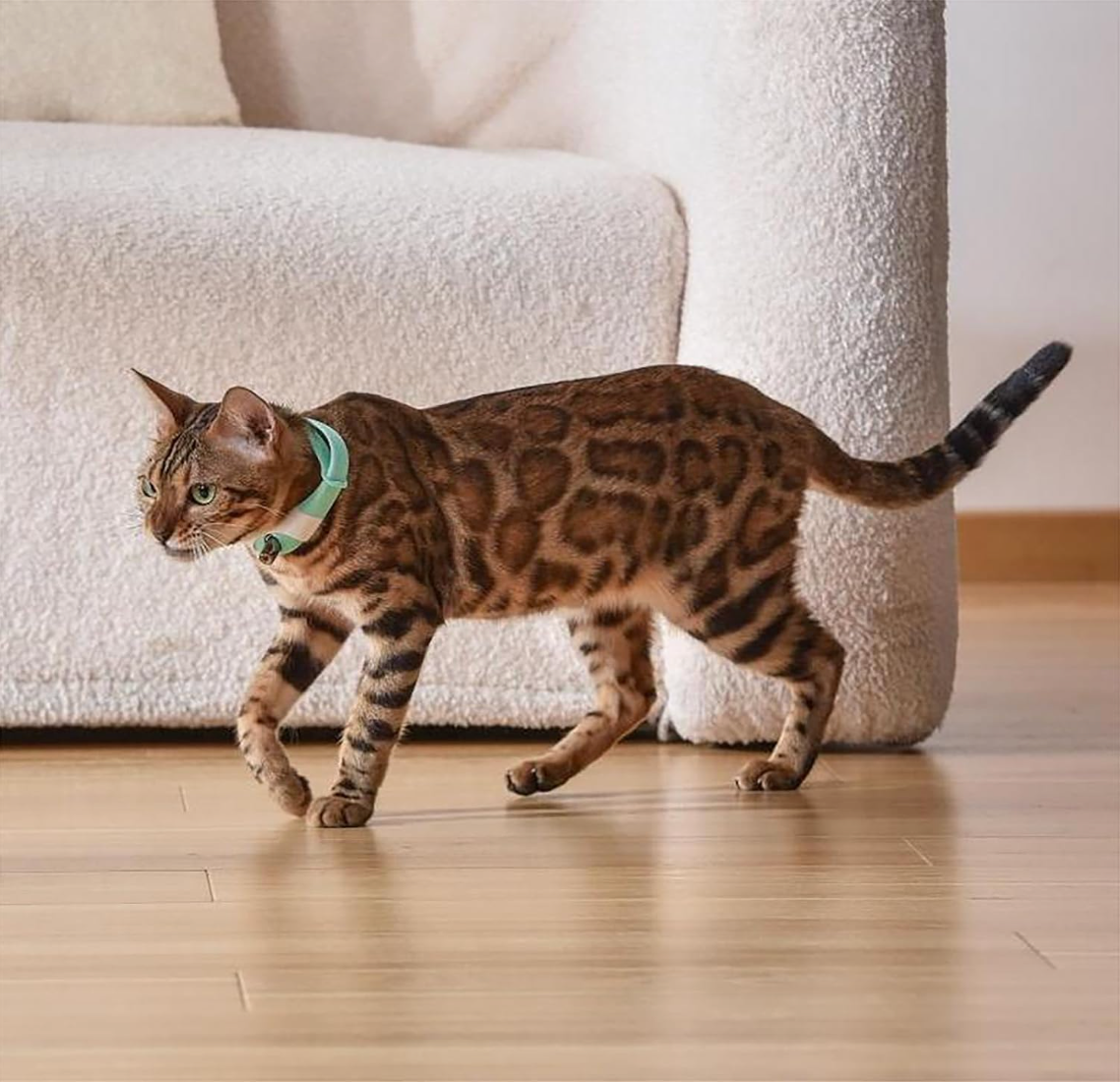 Baby and Fur AutoPlay Smart Laser Cat Collar in pink and white showing rotating laser pointer mechanism for hands-free cat entertainment