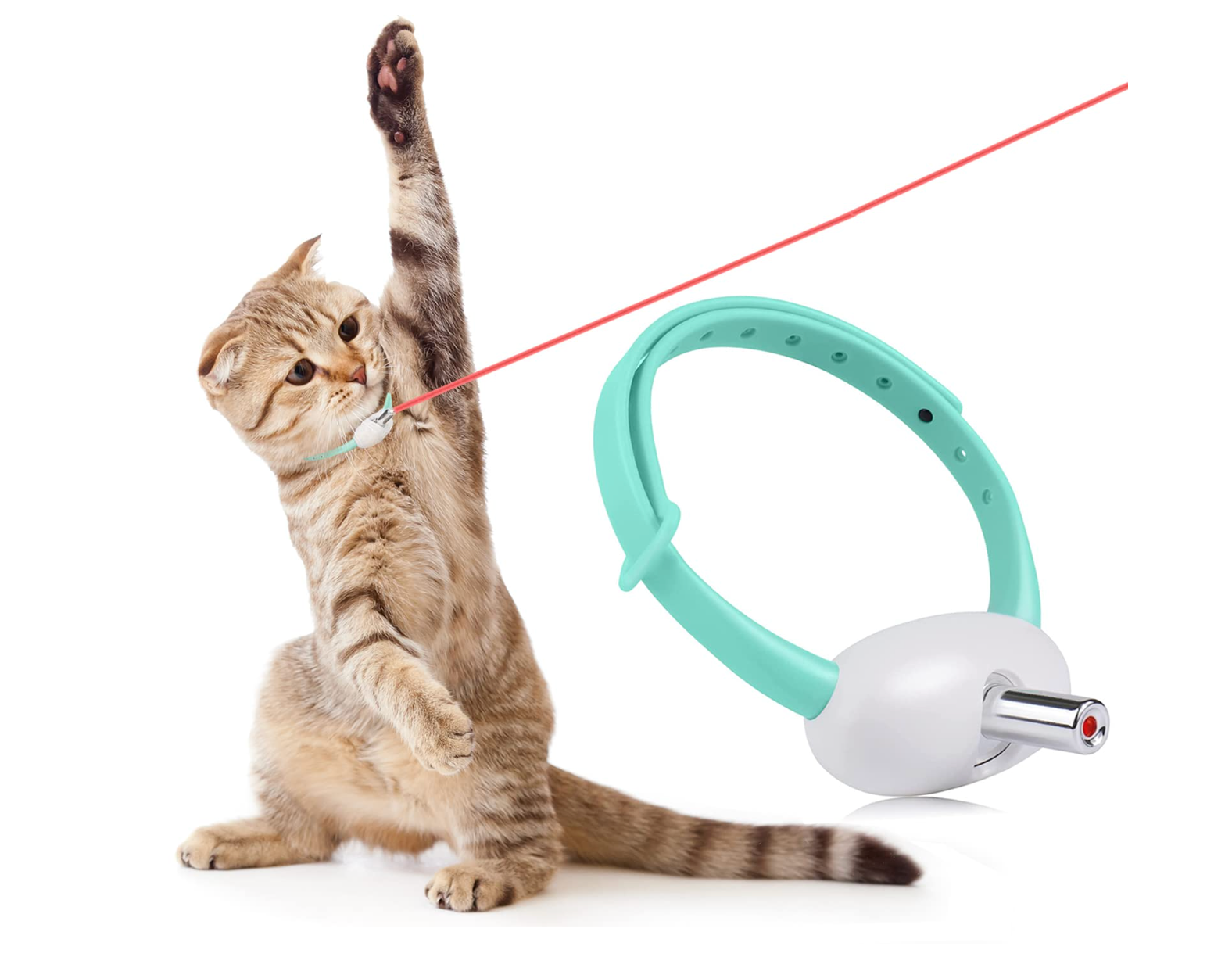 Multiple indoor cats engaged in active play chasing laser from Baby and Fur automatic cat collar toy