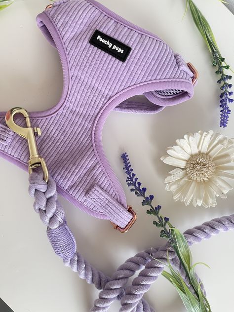 adjustable breathable mesh kitten harness for outdoor walks, training and travel by Baby and Fur