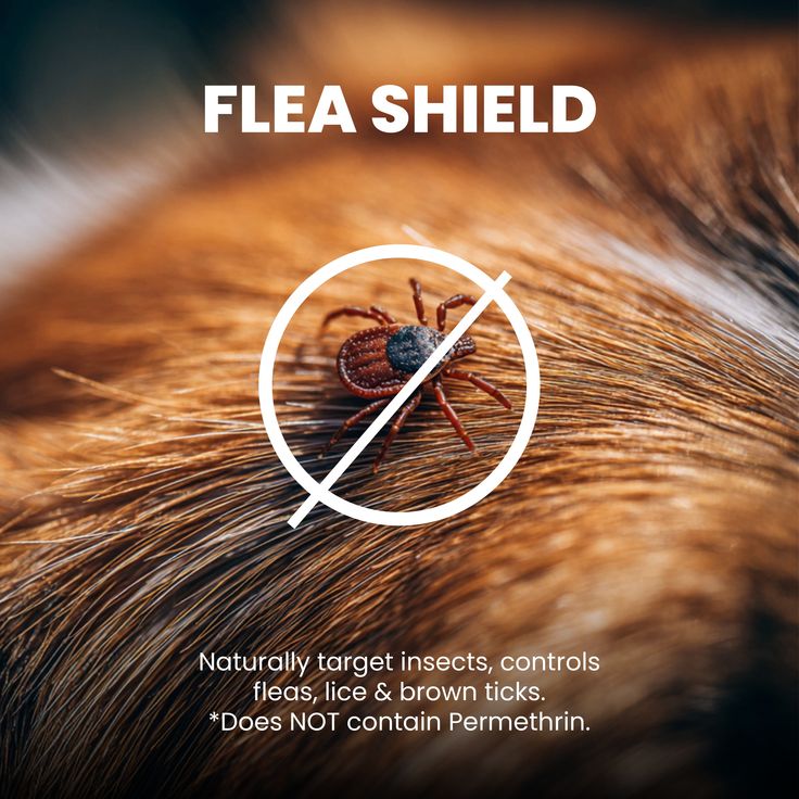 adjustable flea and tick prevention pet collar for small and large dogs and cats, researched and curated by Baby and Fur