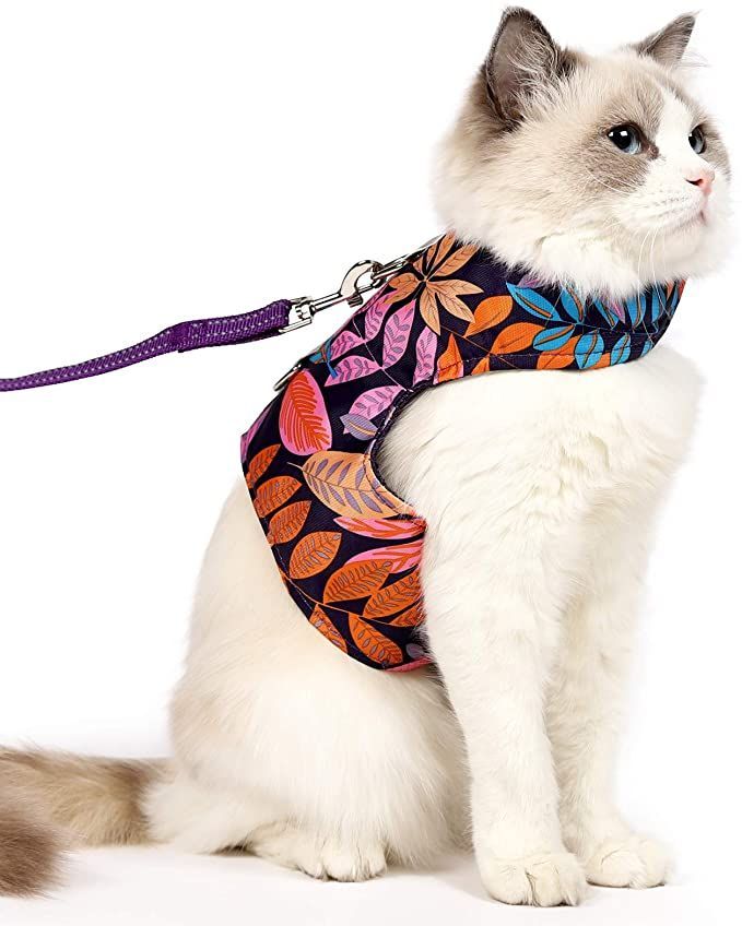 Baby and Fur cat harness and leash set adjustable breathable mesh harness for cats and kittens