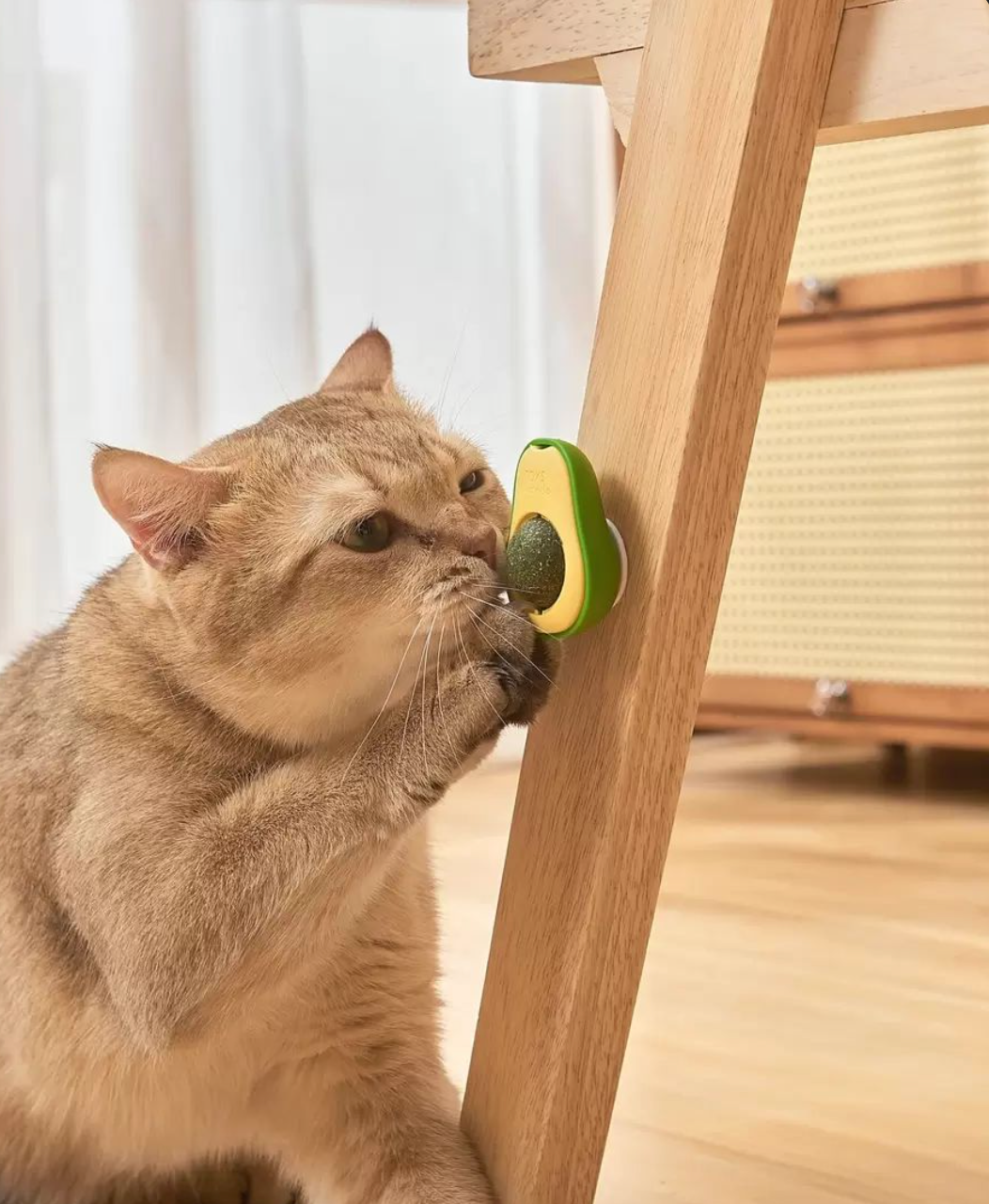 Baby And Fur Catnip Avocado Dental Lick Ball with packaging – premium natural toy for cat dental hygiene