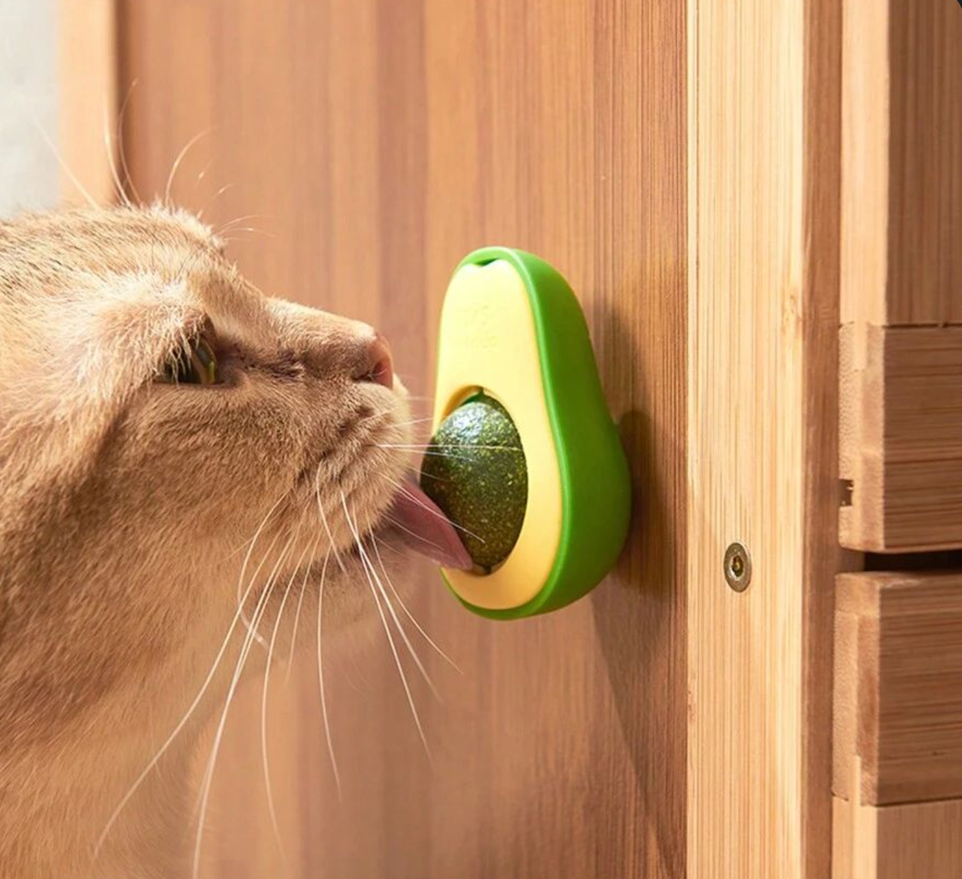 Baby And Fur Natural Catnip Lick Ball multipack in avocado design – eco-friendly toys for multiple cats