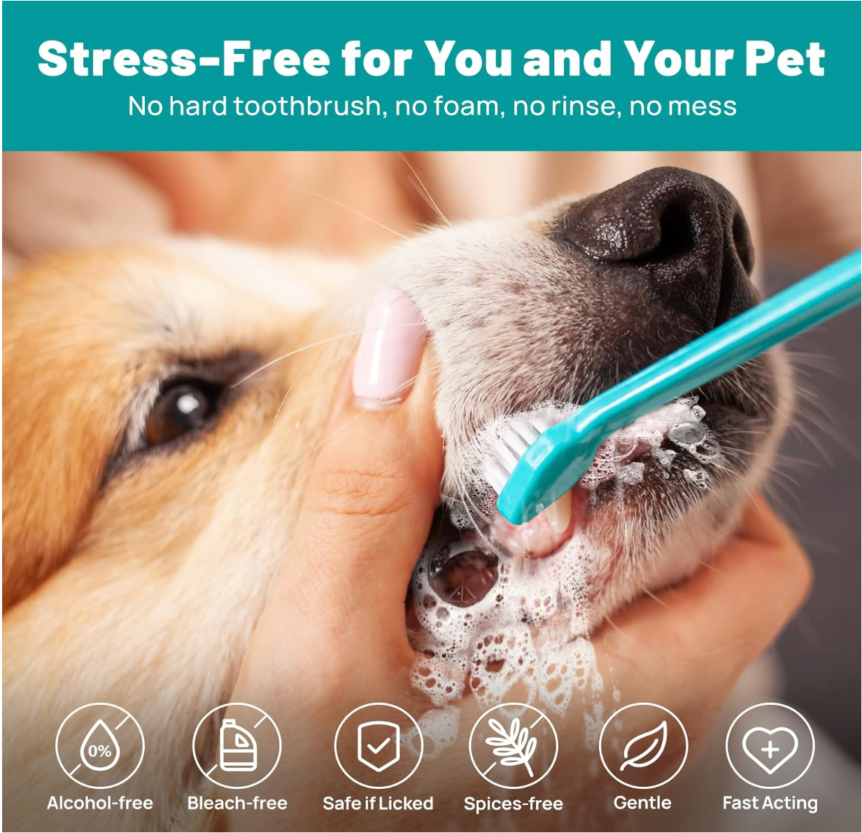 Portable Baby and Fur finger wipes for pets’ teeth, perfect for travel or home use.