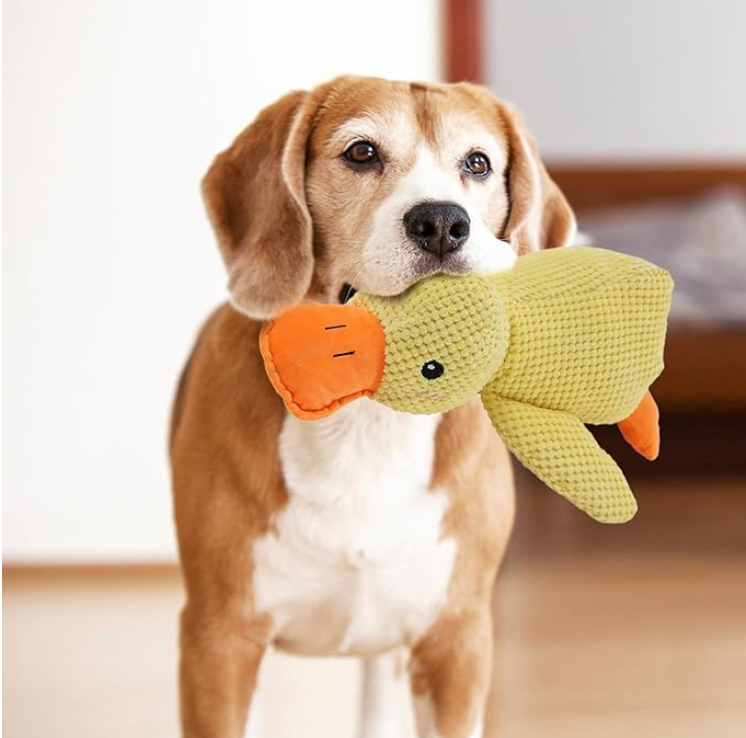 Baby and Fur squeaky plush dog toy for small medium large dogs interactive velvet chew toy with sound squeaker