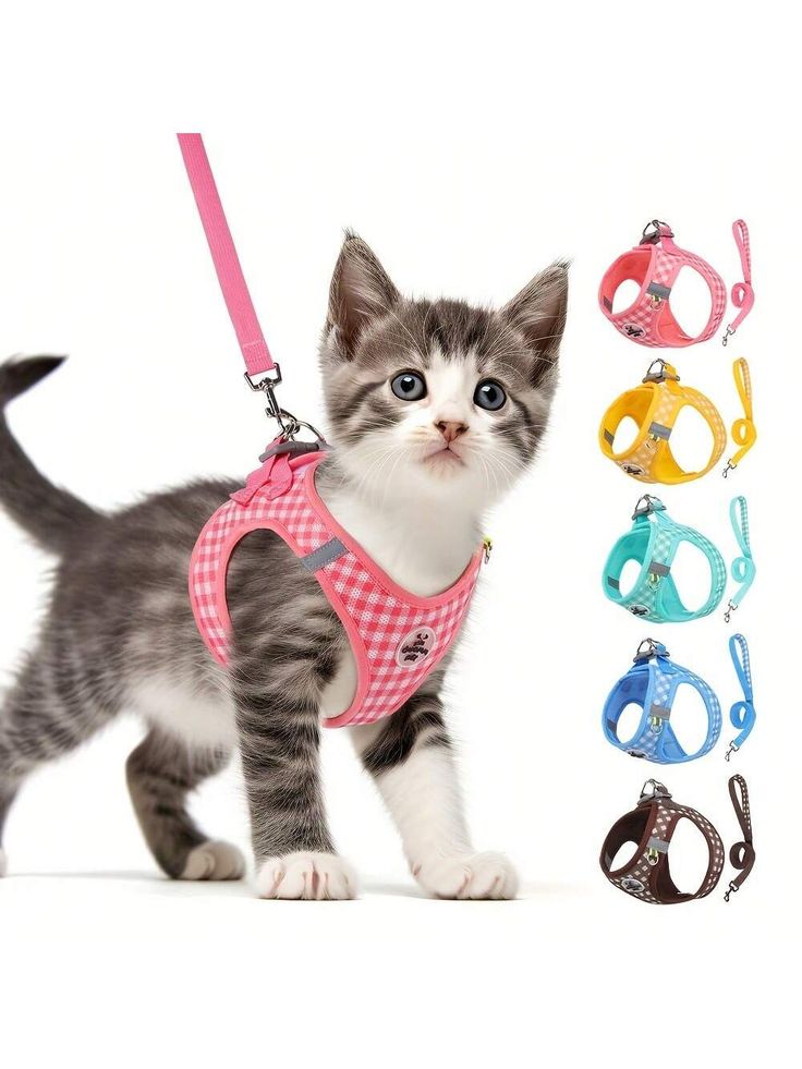 best cat harness and leash set for indoor outdoor adventure walks encourages exercise and reduces inactivity Baby and Fur