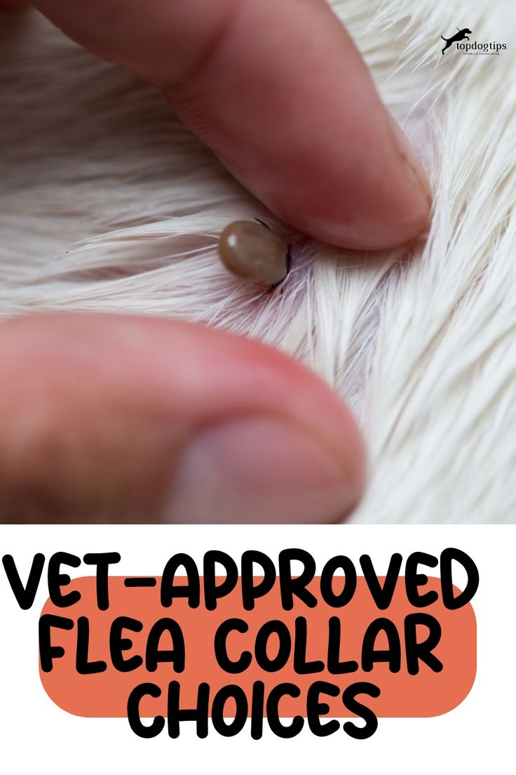best-selling natural flea and tick protection collar for dogs and cats, waterproof, adjustable, odorless, Baby and Fur
