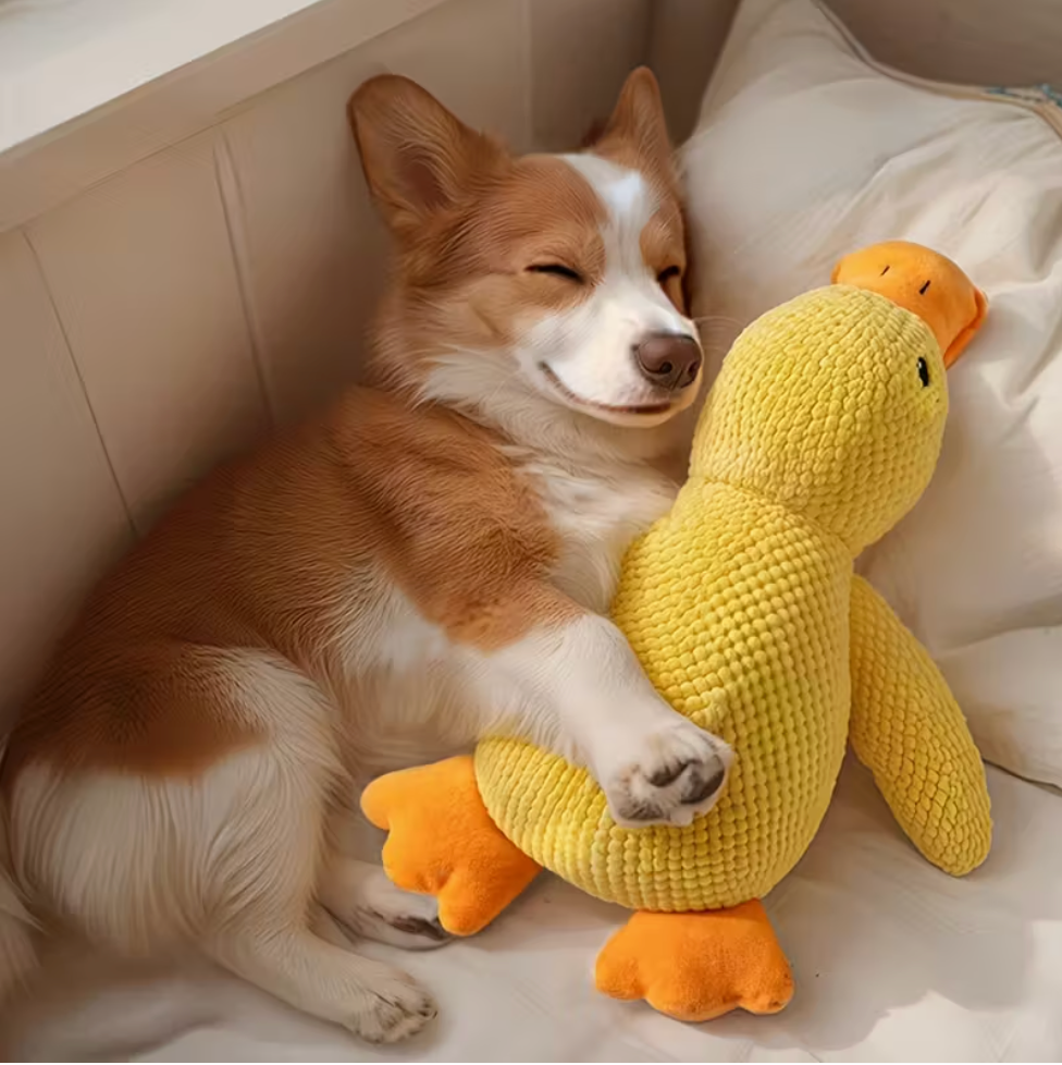 best stuffed squeaky plush dog toy for pet enrichment playtime training and bonding by Baby and Fur