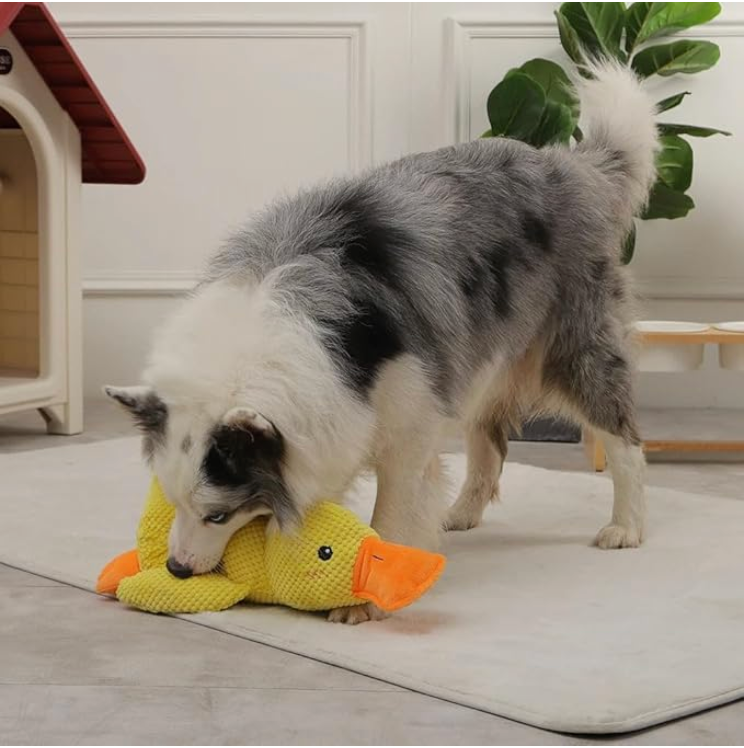 Dog mental stimulation squeaky plush toy researched and curated by Baby and Fur for boredom relief, energy release, and smarter play