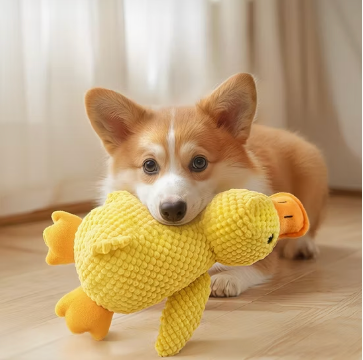energy release tug and chew dog toy mental exercise for bored active and anxious dogs Baby and Fur