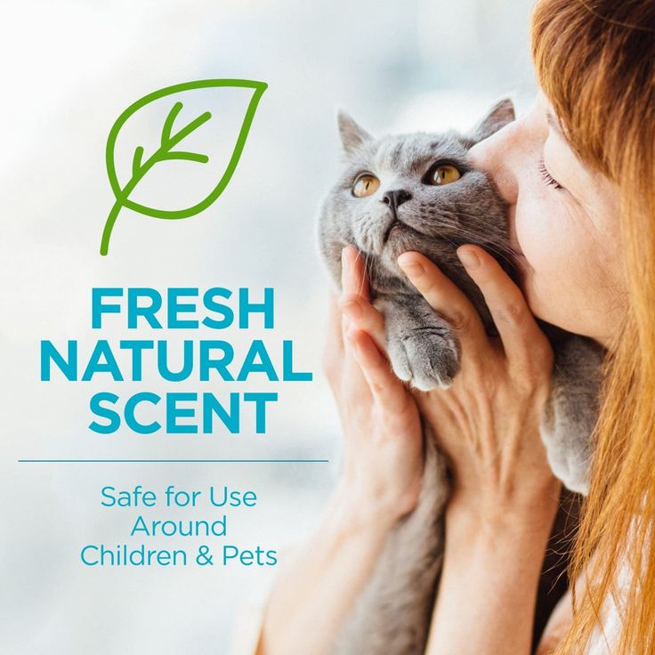 essential oil flea collar for Golden Retriever, Labrador, puppies, cats and senior pets, 8 month protection, Baby and Fur