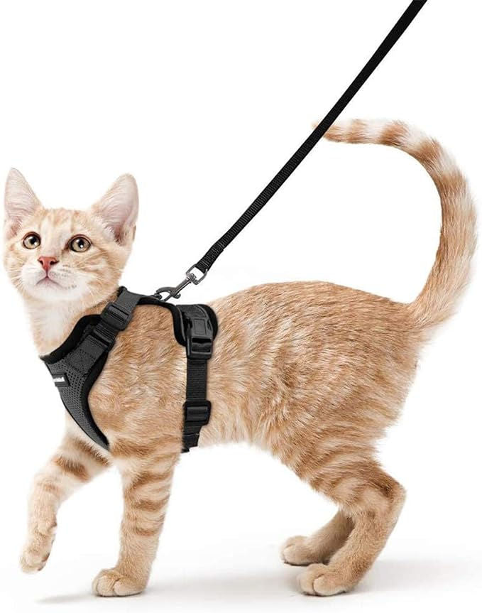 non greasy skin safe adjustable cat harness researched curated for comfort and safety Baby and Fur