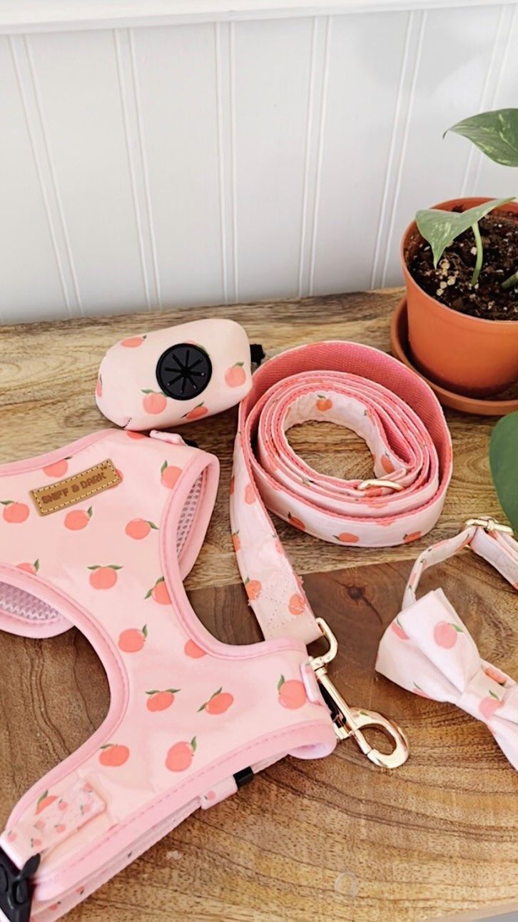 soft comfortable cat travel harness adjustable skin friendly allergy free design Baby and Fur