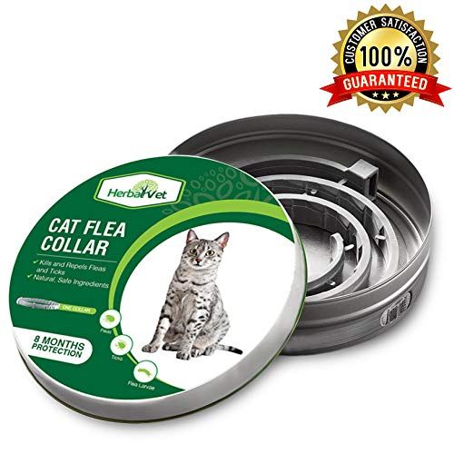 vet-approved natural flea and tick collar for pets, plant-enzyme powered, safe if licked or ingested, Baby and Fur